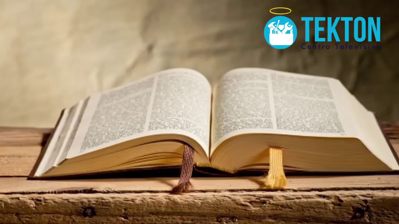 Evangelio del día 29 de Mayo 2018 1