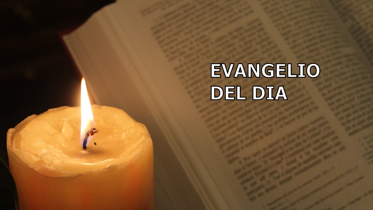 evangelio-del-dia