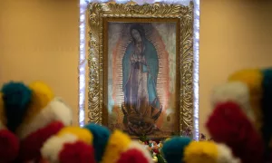 El odio del demonio hacia la Virgen María y sus ataques contra la fe católica 4 La Virgen Maria contra el demonio