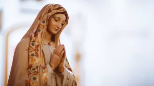 Los 7 tipos de falsos devotos de la Virgen María: Cómo reconocerlos y evitarlos 3 La Virgen María y los falsos devotos