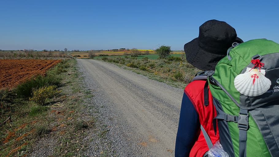 20 datos curiosos del Camino de Santiago 1 camino de santiago