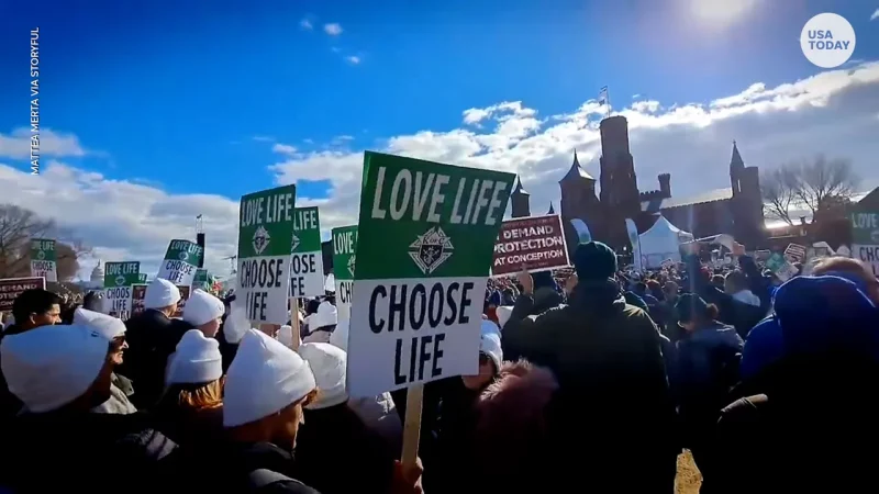 100,000 Americanos Pro-Vida Marchan Hoy por la Vida en Apoyo a las Mujeres y los Niños 2 Pro-Vida