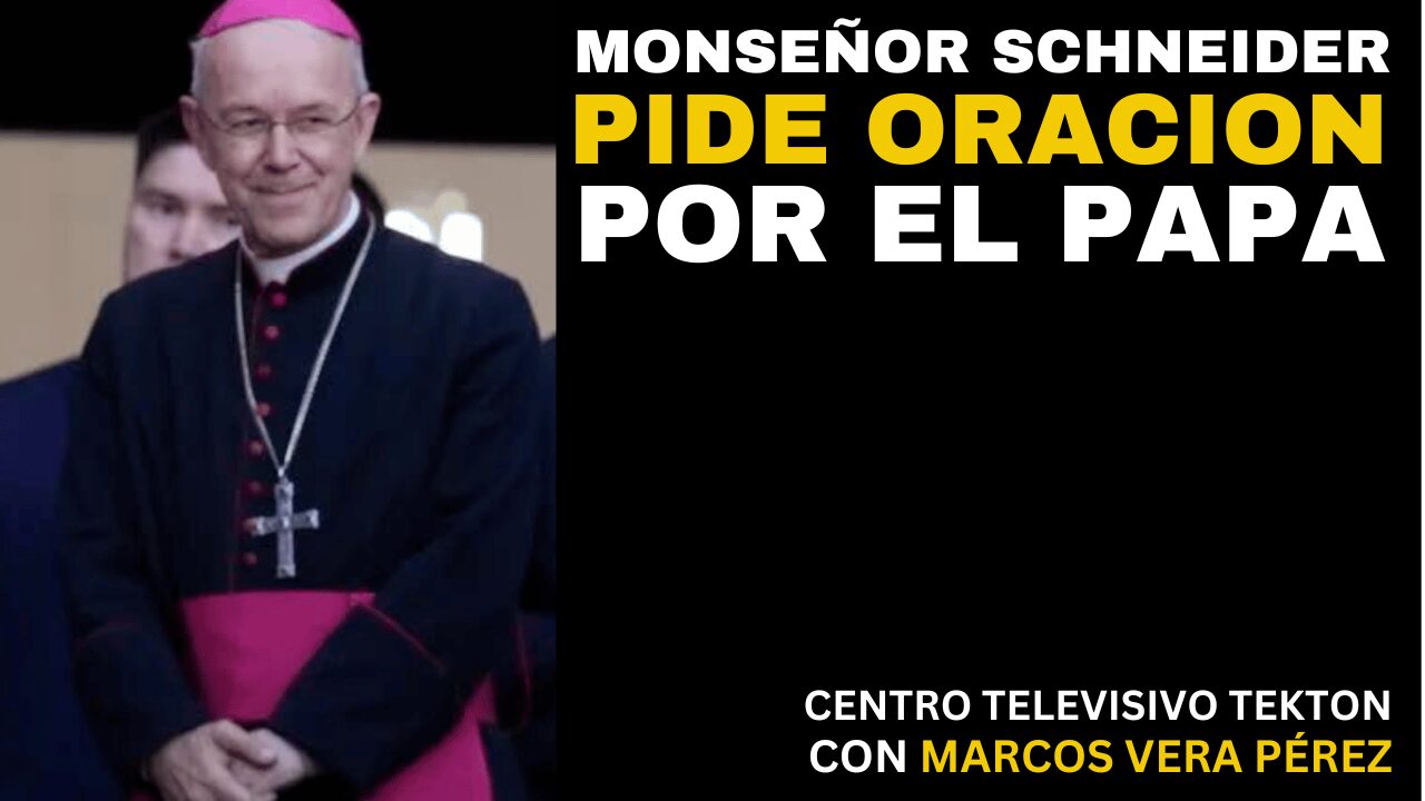 Monseñor Schneider