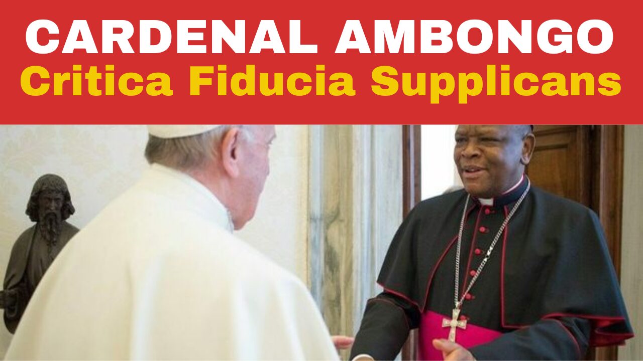 Cardenal Ambongo