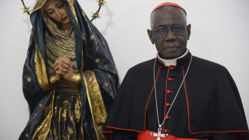 ¡Herejía en la Iglesia! El Grito de Alerta del Cardenal Sarah Contra 'Fiducia Supplicans 3 Cardenal Sarah