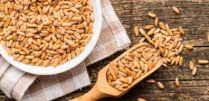 PROTEÍNAS