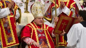El cardenal Burke revela el verdadero significado de Fátima: apostasía, martirio y el destino del mundo 4 Fátima - Cardenal Burke